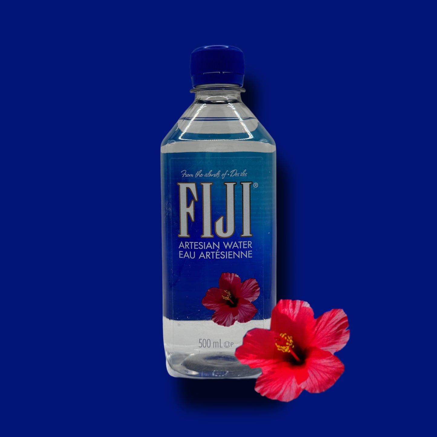 Fiji Wasser 500 ml